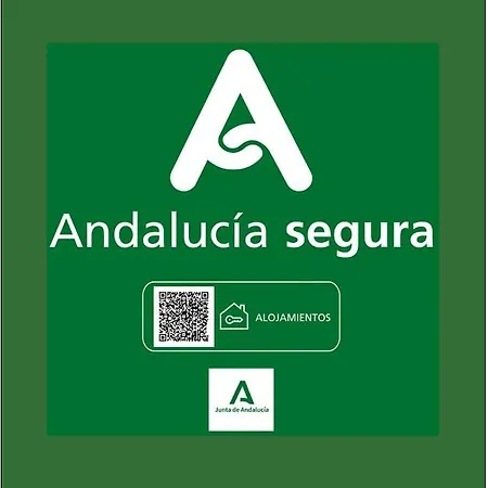Holidays2malaga Biedmas Terraza En Casco Historico Apartment *